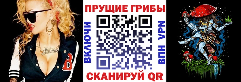 Галлюциногенные грибы прущие грибы Рыбное